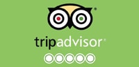 Logo TripAdvisor